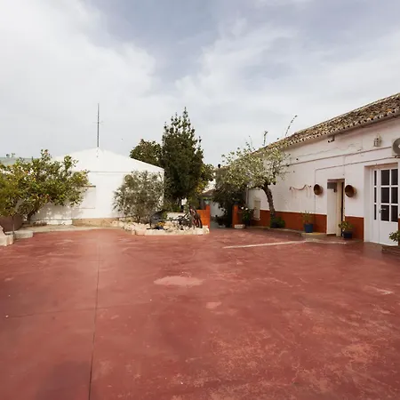 Molino De Lucero, Теба